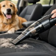 How to Choose a Car Vacuum for Pet Hair